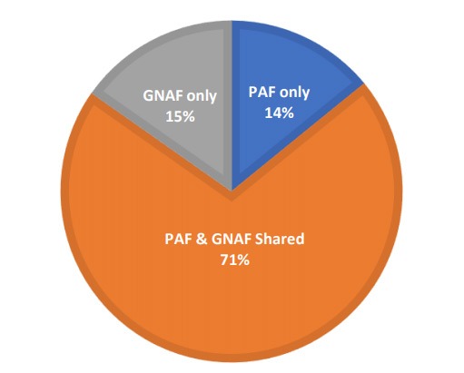 PAF2